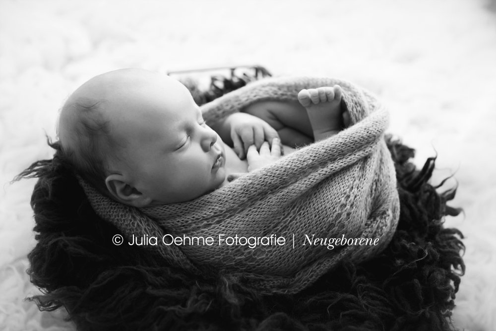 Babyfotos in Leipzig von einem Baby 5 Wochen alt junge Babyfotograf Fotostudio Baby fotos julia oehme halle chamnitz dresden (4)