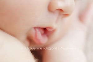 neugeborenenfotos leipzig babyfotos leipzig zwenkau chemnitz dresden wurzen jena babyfotostudio babyfotograf julia oehme fotografie  blog