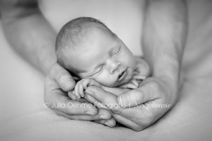 neugeborenenfotos leipzig babyfotos leipzig zwenkau chemnitz dresden wurzen jena babyfotostudio babyfotograf julia oehme fotografie  blog