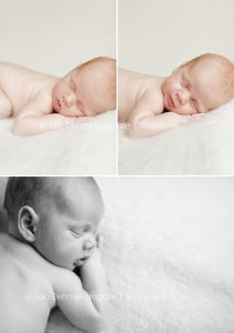 neugeborenenfotos leipzig babyfotos leipzig zwenkau chemnitz dresden wurzen jena babyfotostudio babyfotograf julia oehme fotografie  blog