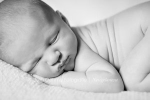 moderne neugeborenenfotos babyfotos halle saale leipzig chemnitz dresden jena gera babyfotograf babyfotos julia oehme fotografie  blog