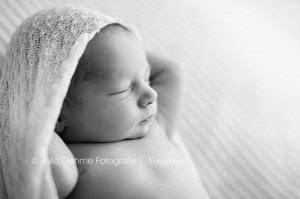 fotograf babys leipzig babyfotos neugeborenenfotograf julia oehme fotografie  blog