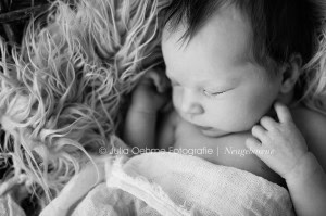 neugeborene fotos leipzig neugeborenenfotografie neugeborenenfotos fotostudio babyfotograf leipzig julia oehme  blog