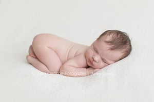 neugeborene fotos leipzig neugeborenenfotografie neugeborenenfotos fotostudio babyfotograf leipzig julia oehme  blog