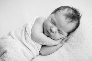 neugeborene fotos leipzig neugeborenenfotografie neugeborenenfotos fotostudio babyfotograf leipzig julia oehme  blog