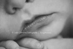 babyfotograf leipzig julia oehme fotografie  blog