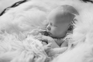 babyfotograf leipzig julia oehme fotografie  blog
