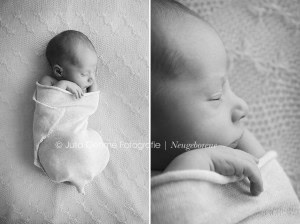 neugeborenenfotos leipzig neugeborene fotograf fotostudio babyfotos halle chemnitz dresden newborn moderne babyfotografie julia oehme babyplan  blog