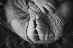 neugeborenenfotos leipzig neugeborene fotograf fotostudio babyfotos halle chemnitz dresden newborn moderne babyfotografie julia oehme babyplan