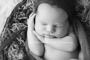 neugeborenenfotos fotos baby babyfotograf newborn babyfotos fotostudio leipzig halle dresden chemnitz julia oehme  blog