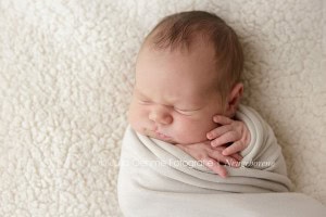 neugeborenenfotos fotos baby babyfotograf newborn babyfotos fotostudio leipzig halle dresden chemnitz julia oehme  blog