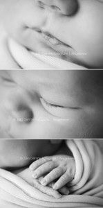 neugeborenenfotos fotos baby babyfotograf newborn babyfotos fotostudio leipzig halle dresden chemnitz julia oehme  blog