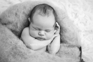 neugeborenenfotos fotos baby babyfotograf newborn babyfotos fotostudio leipzig halle dresden chemnitz julia oehme  blog