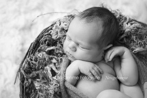 neugeborenenfotos fotos baby babyfotograf newborn babyfotos fotostudio leipzig halle dresden chemnitz julia oehme  blog