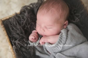 neugeborenenfotos junge baby babyfotos newbornshooting babyfotografin julia oehme fotostudio leipzig halle molauer land fotograf