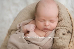 zarte babyfotos junge neugeborenenfotos niedlich babybilder babyfotograf julia oehme fotostudio leipzig