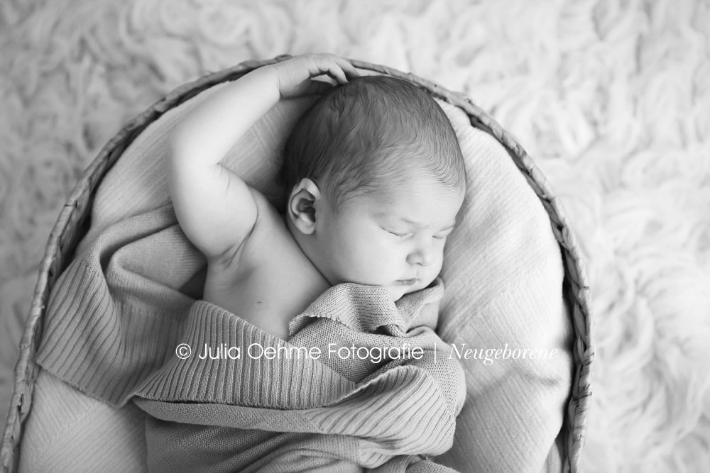neugeborenenbilder babyfotos fotograf babyfotografie neugeborene newborn junge babybilder leipzig halle dresden chemnitz julia oehme