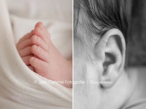 moderne fotos baby babyfotos neugeborenenfotos babybilder newborn niedlich leipzig halle chemnitz dresden berlin junge julia oehme